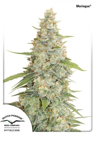 03ace88308f594eae9a86d05d8f76375