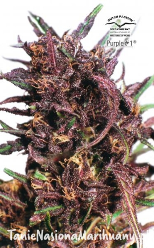 04610e5ac10531ff4b8ebc8692c63fe6