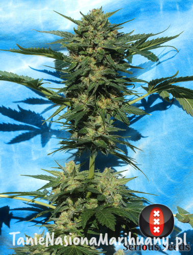 048c076596b454ca3763d216d880e029