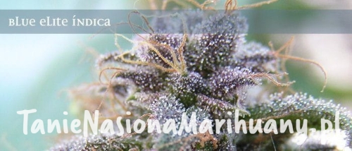 0bbacefeb72559d701fe2cfb8e945e7a