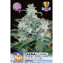 0d21eb228a02649e36a3c710df3dbf17