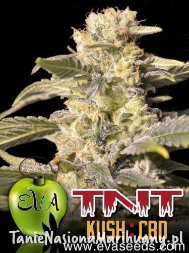 0e56aa218e611bfcc9076be77f911745