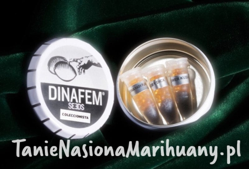 0f25bfb360eec8137fba5d0e6b8e8edd