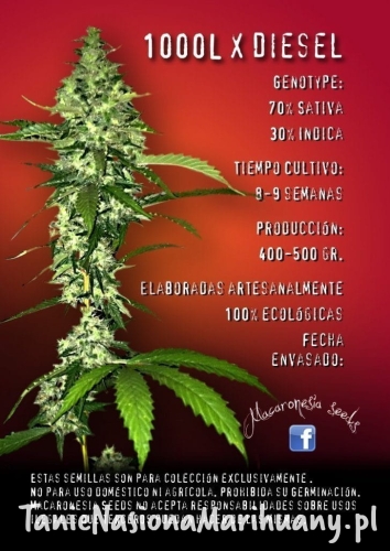 13959ccc0f611d69682ee3ab0b54a53e