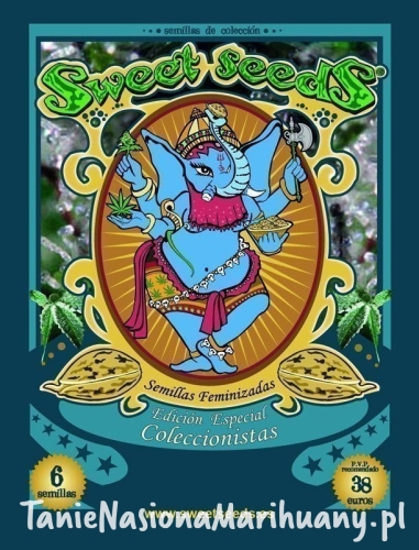 15eb5f0bd92c510954f3e5072f847122