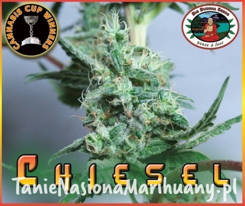 19963b4fa42b2e0396971a7fabcd928f