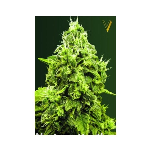 1e8ec829dd70f820cd67f311999269c8