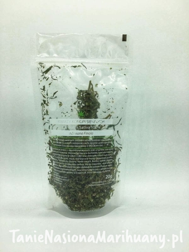 1ed62699465fedb33c9f92531438b56a