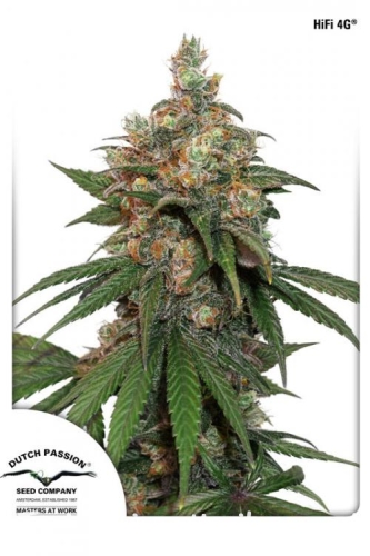 1f5caed36f2891f5496410093ff67d74