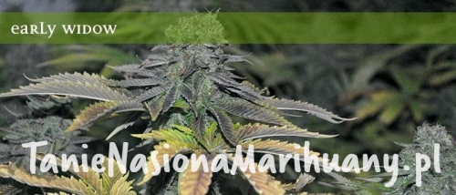 21ed16bdb7da04ce2f93918ea1a015ac