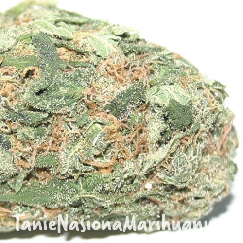 23241ddb4b5639ab15bb663ff5d6cbaa