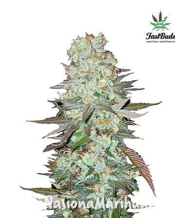 26474f20fa22c945b731b4f24ecfd6d9