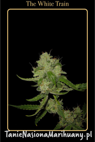 2b592af4b4974826650655a29d740b4a