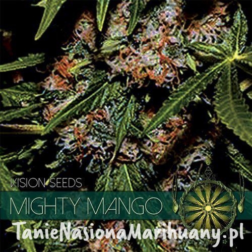 2ce1b4883833db8197325ea46488bed6