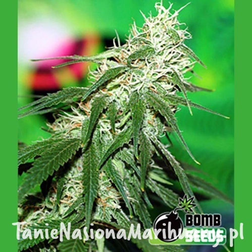 2d00f116f3e135f4683eb0c2c528bbc8