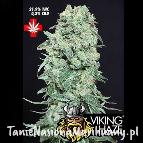 2e068a8f605b0f9a13b107c6f6040f69