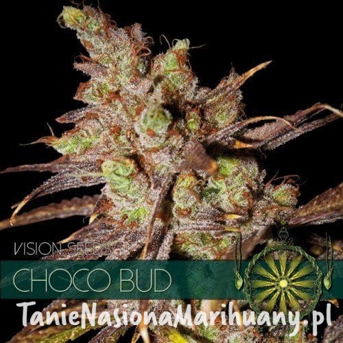 3030babbff7eaa85d44ab251baa3e931