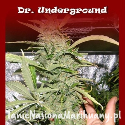 336312ac596207591e5f0afb21278493