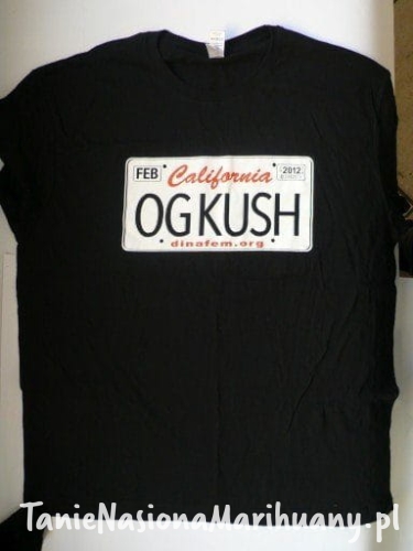 33c8221076ea2cf9269023a603445b1f