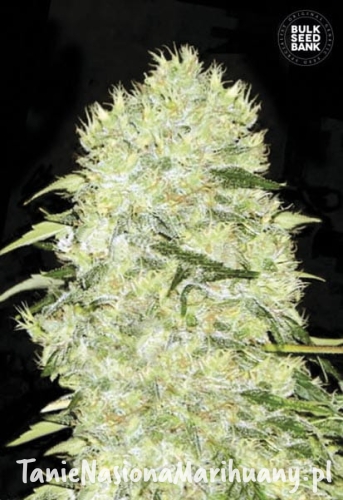 37d6589c965975b6d6585be5decfeb37