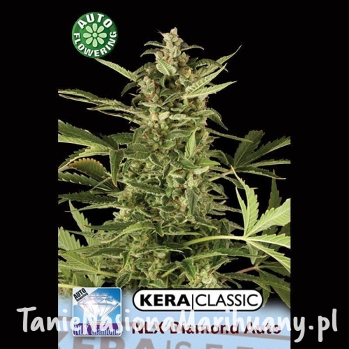 3aeed08eadc9d8c99ff404f4ddaf9d65