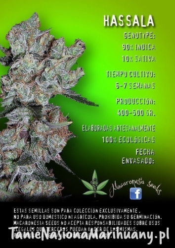 43d2bd3b75a86215ce83404776781e01