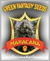 48d3d23a7f58ea6f81afd1f378d2efd4