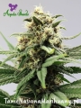 4b710e8ecd2793f7c5857708cd5c0418