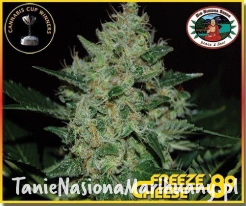 4cfb7dd2df9be94337b2e770700a10d4