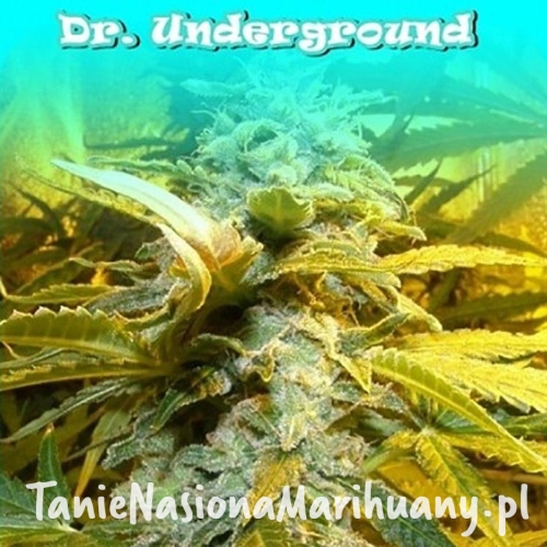 4d66a455a2ffb900bb17b479ca36f3de