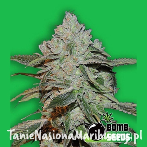 5a66ca15979277783c18b07d06aee01d