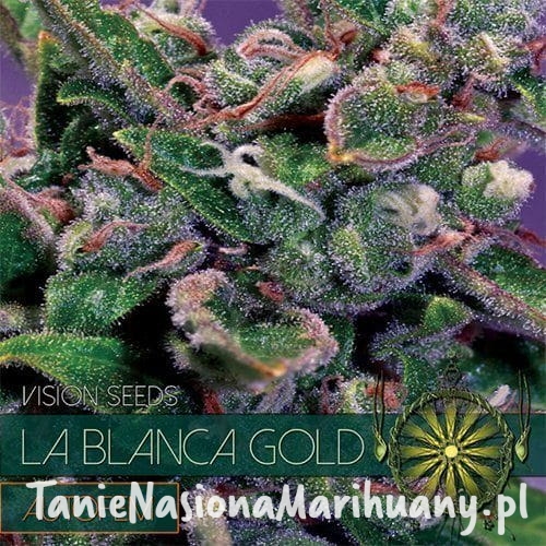 5d55cff826e02db288aa4e7717ba415e