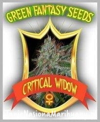 5e91f087d98dd2aa7c7120ec1cb770a6