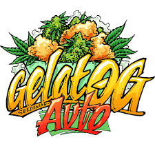 gelato.OG Auto.png
