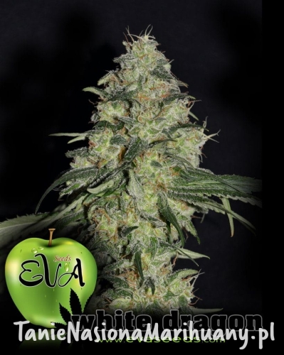 66a049f930c78fecd3e0dc389a9395bf