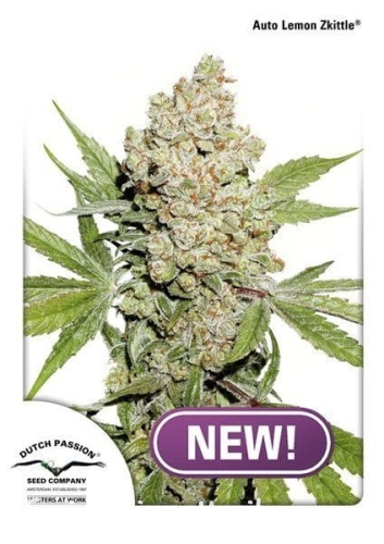 66eb57ff924cd597600238f53f1a1aef