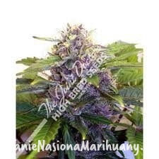 6870eaf2c27aaf94e89ce87f6a5497c8