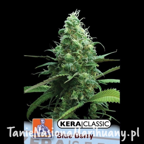 6abf58b5d594d2df5230e31729591619