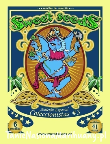 6acca182def1ba909b6e8c1291f63f6a