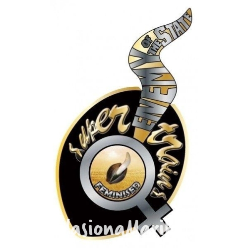 6c9eda609f26a2e86c2cc35b9607aee0