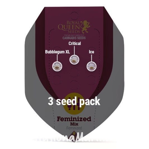 6e17683677059cc57582034ad0e908cf