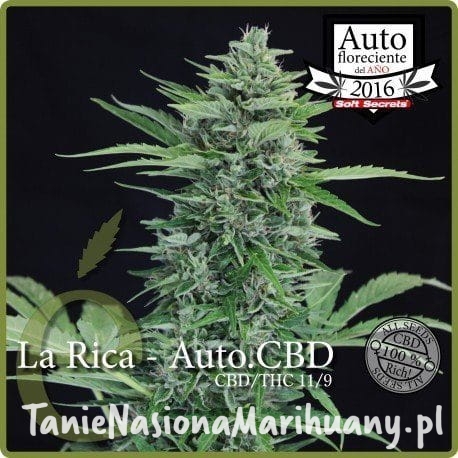 719b570f8cbdce0ee929e7cfe8d5ea55