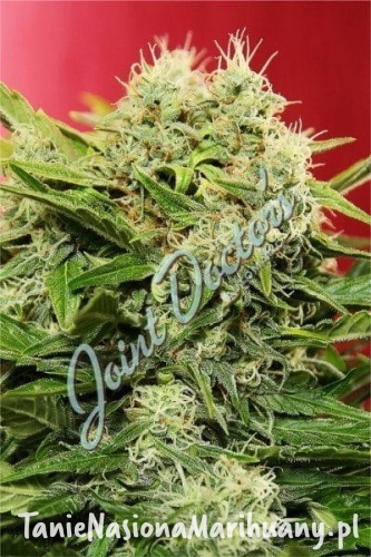 72010c31076097ccbbee7c720f1eecb3