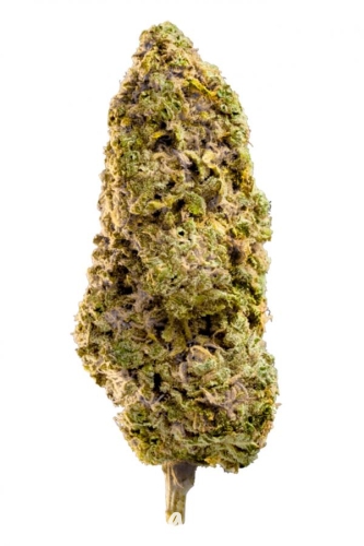 7398e14af2e0dce0cb014d7a169fb437