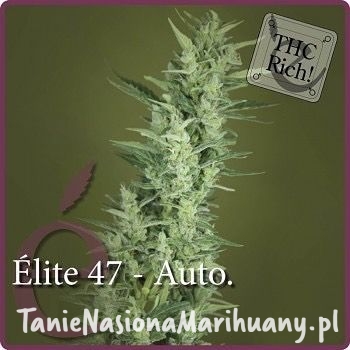 74e0084eec9752fe599c513ec301a8e6