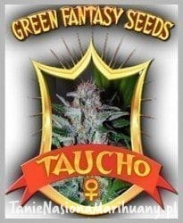 771004b9f9a0e4573173d4d18c955487