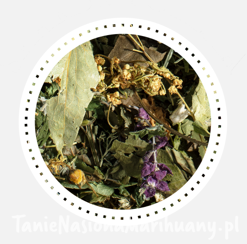 786ee54c9d755265bcb04d47f3b201ff