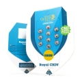 450px_royal-cbdv-automatic.jpg