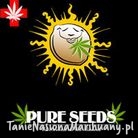 7d2dd9166f8f6cf85e8e6174fdbb3a38