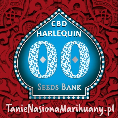 harlequin_cbd.jpg